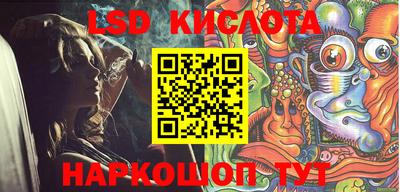 шишки Кингисепп