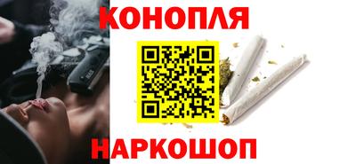 шишки Кингисепп