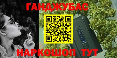 шишки Кингисепп
