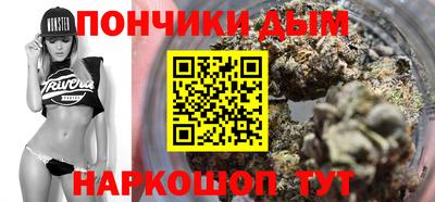 шишки Кингисепп