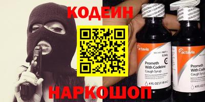 шишки Кингисепп