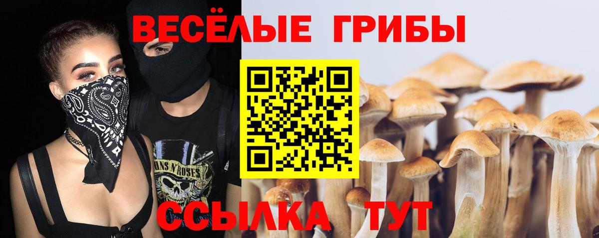 Псилоцибиновые грибы мухоморы Бузулук