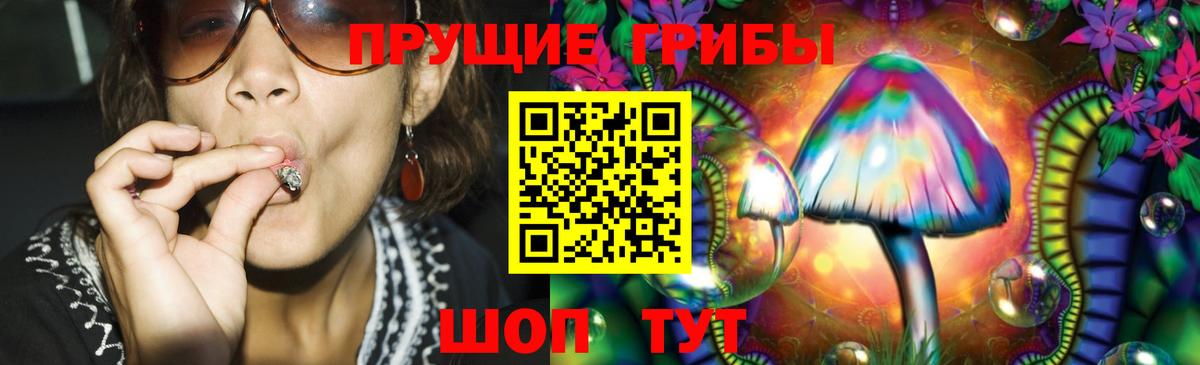 Псилоцибиновые грибы Psilocybe  Псилоцибиновые грибы Magic Shrooms  Вход с VPN  Бузулук 